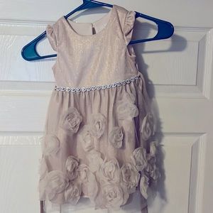 Has roses and ruffles with pink and silver with a Nannette kids 2T